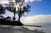 Peaceful beach on Bruny Island: by sarahlizweaver, Views[269]