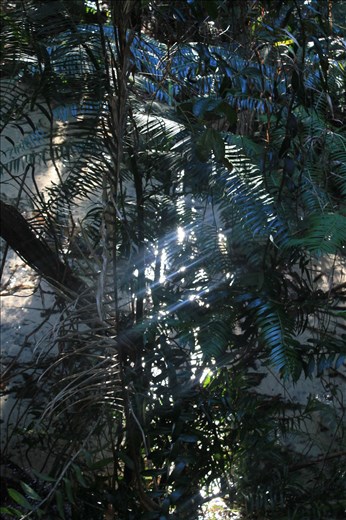 Beautiful scenery on Fraser Island. 