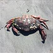 by sarahlouise, Views[192]