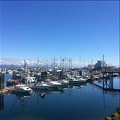 by sarahlouise, Views[137]