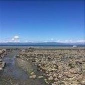 by sarahlouise, Views[210]