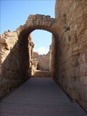 by sarahnicole, Views[243]