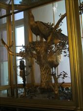 by sarahnicole, Views[106]