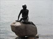 The Little Mermaid in Copenhagen: by sarahnicole, Views[107]