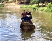 by sarai-sophia, Views[219]