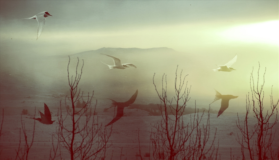 Flying over snowy roads