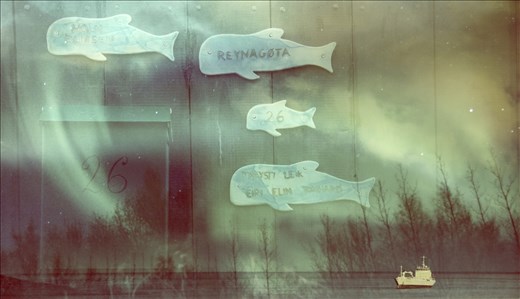 Aurora Borealis over the sea