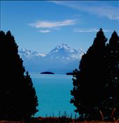 Mt Cook through the trees: by saralitchfield, Views[129]
