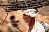 Indian carrying some wood in Pushkar fair.: by saramaritan, Views[252]