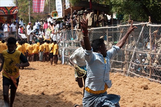 Exhultation - When a bull goes untamed, the bulls trainer or owner gets all the rewards that were announced for the tamers. This trainer takes pride that his bull wasn't caught.