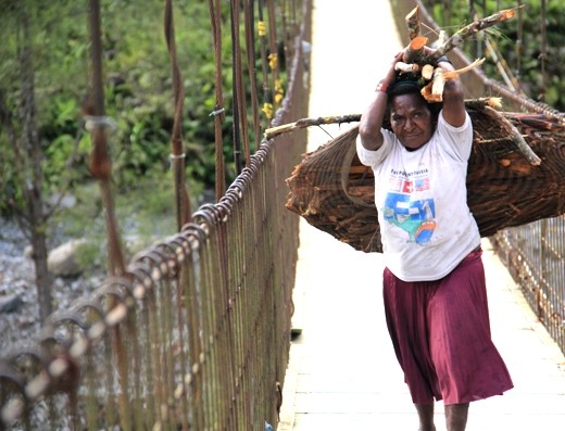 Women in Amungme tribe is a hardworker