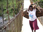 Women in Amungme tribe is a hardworker: by sarimusdar, Views[739]