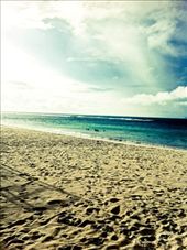 beautiful natural blend: by sarrah_journal, Views[253]