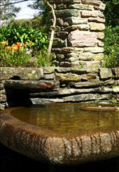 Water in the Garden: by sasako, Views[297]