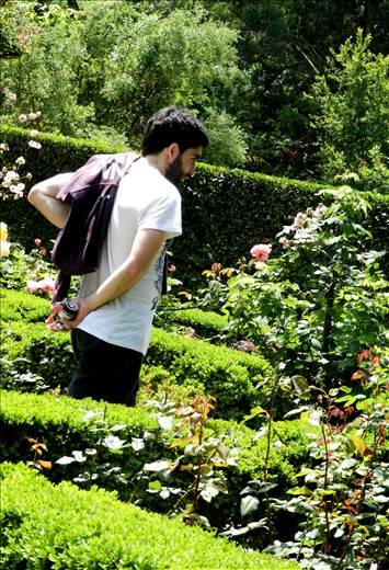 Through the Garden of Serralves