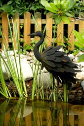 The Fake Fleming: by sasako, Views[165]