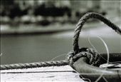 Rope: by sasako, Views[130]