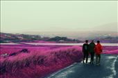 Friends walking on road, emulated to infrared photography style: by sascha_seyschab, Views[318]