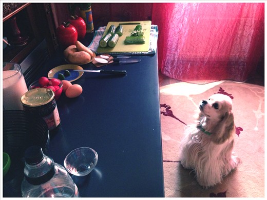 Good music and a litter chef are over here!