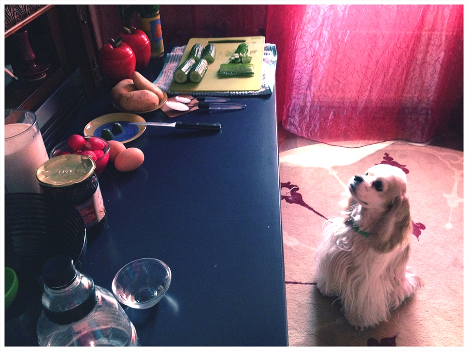 Good music and a litter chef are over here!