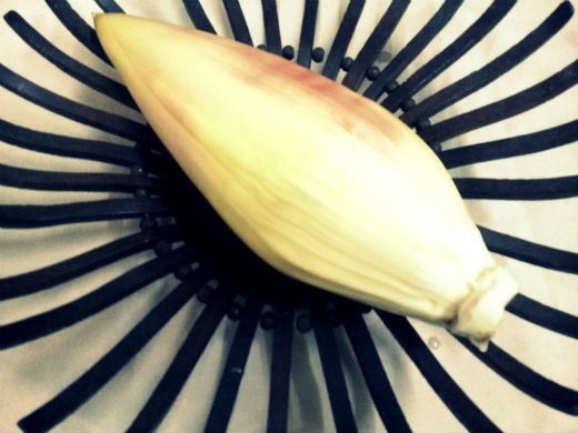 Approaching the cream colored heart of the banana flower