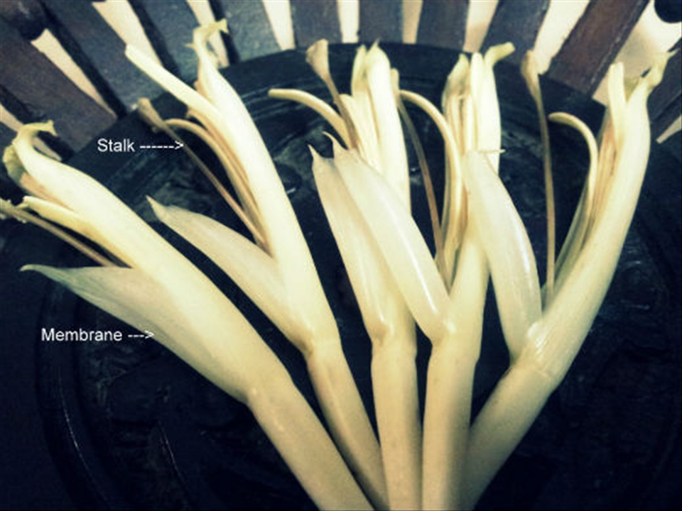 Banana florets with stalk and membrane that should be removed