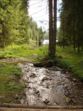 Deep clean river in mountain forest : by satyr, Views[211]