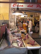 Syracusa Market: by sauceypete, Views[192]