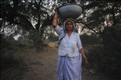 An Old lady taking water for her house: by saumya1989, Views[523]