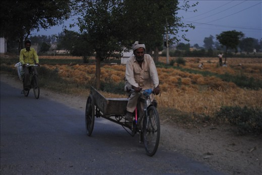 A farmer rushing his cart for the fields