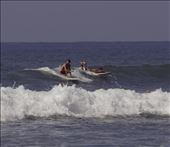 by savagesantini, Views[437]