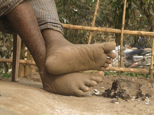 In this image, a small frame made by bamboos seems to be separating itself from 