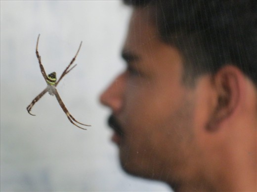 Once attempted for suicide to escape the rage his expected poor report-card coul