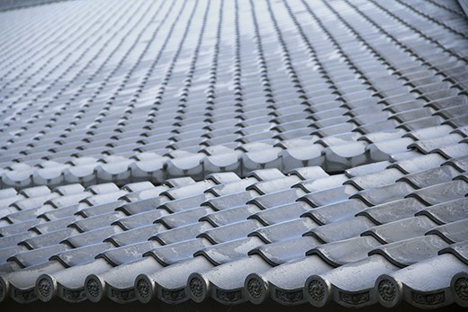 Tiles - A traditional style Japanese roof, orderly and efficient.