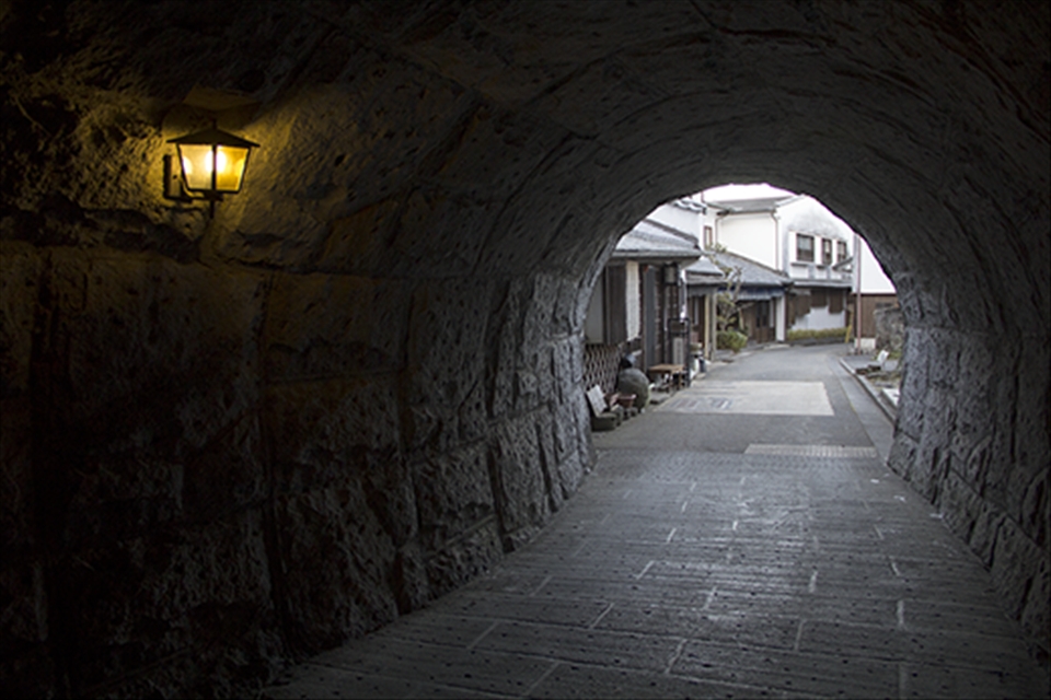 Tunnel - Taketa is known as the lotus town, due to the high number of tunnels.