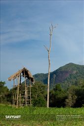The photos represents the simple yet content life lived by a farming family in the rural areas of Sri Lanka. Their lives lag behind in time, with no electricity, piped water or machinery. The nearest village has to be accessed through 5km of thick forest where elephant attacks are not a rarity. The children have little heard of schools. They live in tree houses/ 