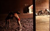 PRACTICE  A day of a Kushti proficient starts at 4 o’clock in the morning with morning jog, rope climbing and other warm-up exercises followed by dummy fights in the soil pit. On an average, the practice session lasts for 9-10 hours everyday.: by sayantanacharya, Views[925]
