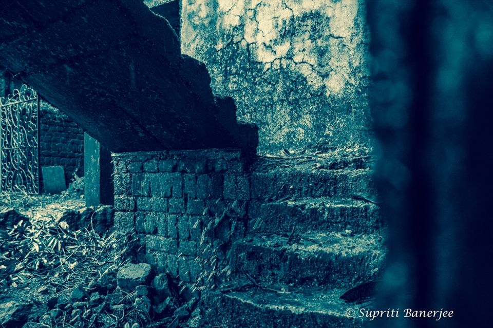 Who is watching me(the remains)