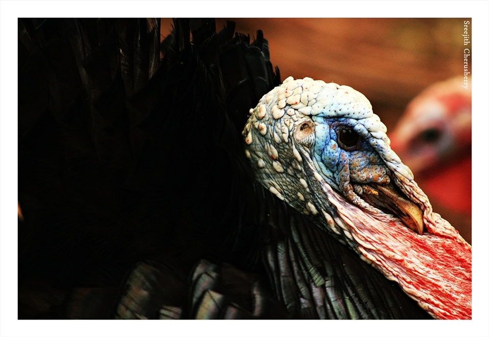 The strength of wisdom