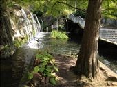 A Park In Hamburg: by schmodude, Views[581]