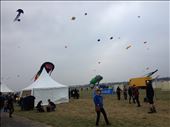 Berlin Kite Festival: by schmodude, Views[732]