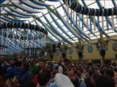 Inside one of the beer tents: by schmodude, Views[1021]