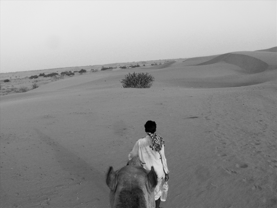 A typical villager of rajasthan starts his day wandering in a big lonely desert with only a bottle of water in his hand accompanied by his buddy(camel).....not knowing anything about what is going to happen in future they together walk and face the challenges that life throws in their  way.......