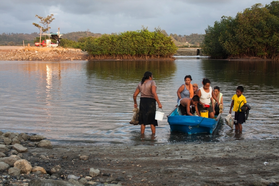 Bolivar (Ecuador), a poor village surrounded by mangrove swamps, is far removed from the main cities. To get there you have to travel a muddy road far removed from the highway and then a narrow estuary that separates this little island from the mainland. Shell fishing is the main source of sustenance. Every day women and children go out to the mangrove swamps to shellfish, as they have been doing for decades.