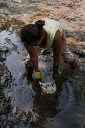 After searching for shellfish they put their day´s catch in a pail and clean them. “This work is hard for us, but men in town don’t work much and if we don’t bring the money home, nobody does” Maria Cagua (52 years old) told me. She has ten children, seven grandchildren and they all live in her house. They usually pick from 50 to 60 shellfish in about 5 hours, depending on luck and experience. The cost per hundred shellfish varies from $6 to $10 (US Dollars).
: by scholarshipoman, Views[331]