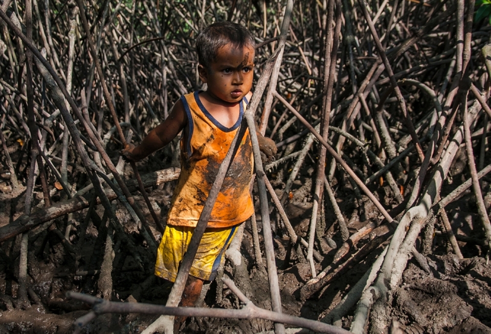 Froilan is Maria´s youngest grandchild, he is two years old and many days he goes out with his grandmother, mother and aunts to shellfish. Amazingly most of the women take their children to the mangrove swamp instead of going to school. It is simply more important. They need all the help they can get to increase their take and have more to sell. 