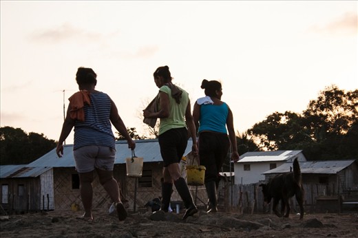 At the end of the day they come home to count the shellfish to be sold on the morrow when the whole cycle begins anew amongst the mangroves. Despite all the hard work they return home happy; it’s being a long day for every woman in the village, but an interesting and humorous one as well. All day long, as can happen when friends and relatives spend time together, they have been gossiping about every man and story in Bolivar.