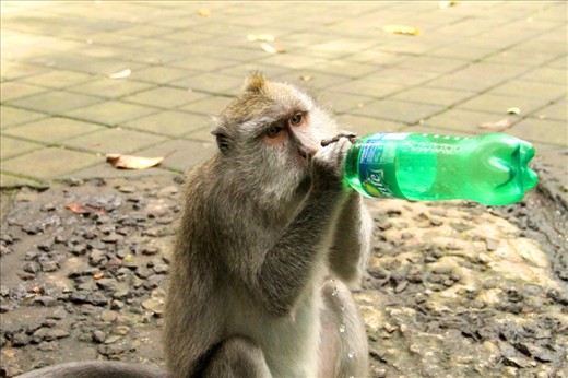 Nothing is as it seams