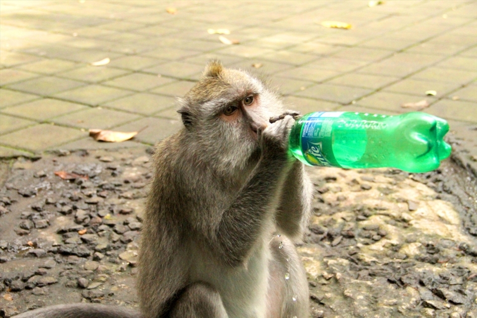 Nothing is as it seams