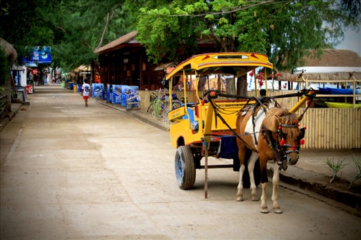 the power of nature, another side to the story